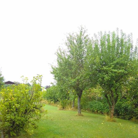 Ferienwohnung Am Mozarthuegel Warstein Εξωτερικό φωτογραφία